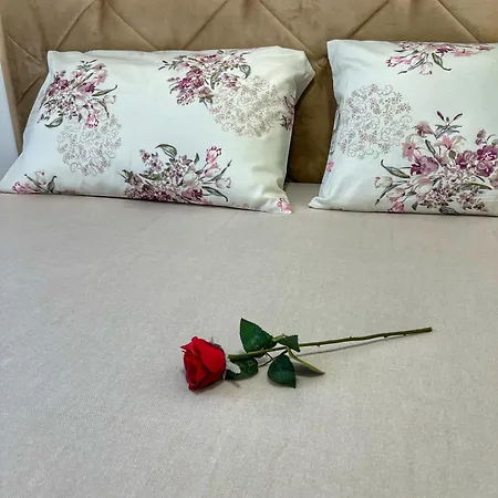 Comfortable And Spacious In A Location *